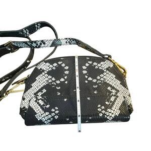 Hammitt Snakeskin Black and White Crossbody